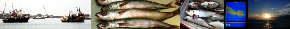 Banner_Fisheries_2.png
